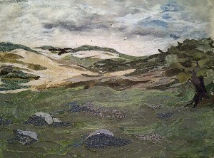 Adjusted dartmoor embellished